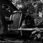 Autofriedhof Konolfingen