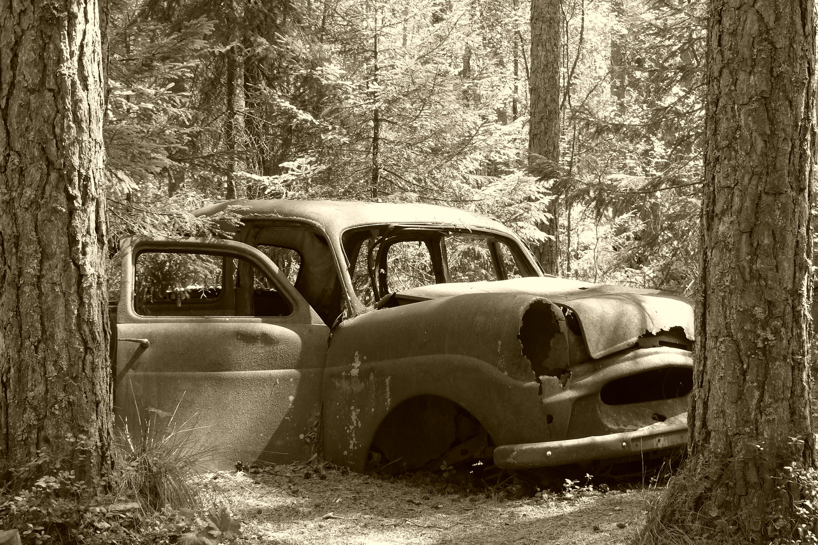 Autofriedhof Kyrkö Mosse