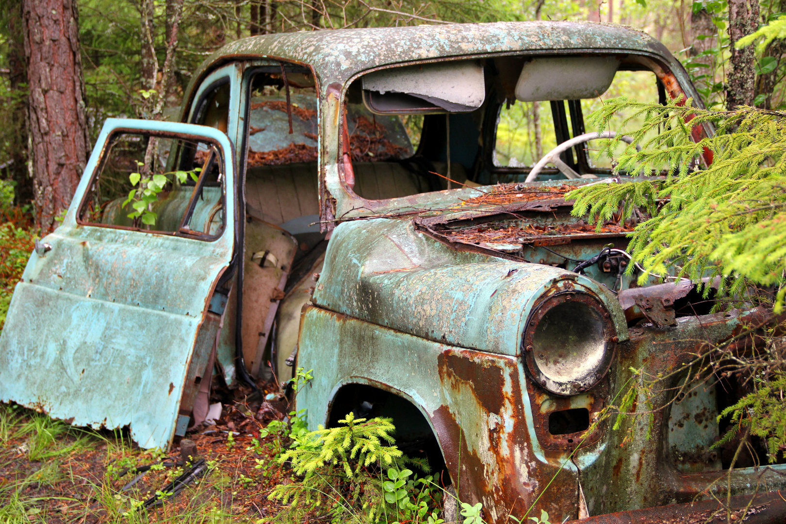 Autofriedhof Kyrkö Mosse in Schweden