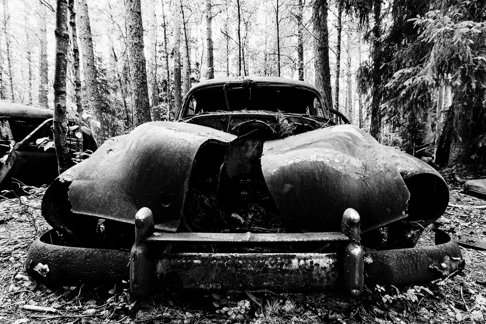 Autofriedhof - mein Luxusauto