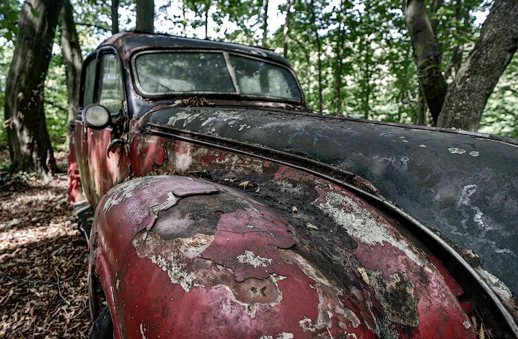 Autofriedhof Neandertal