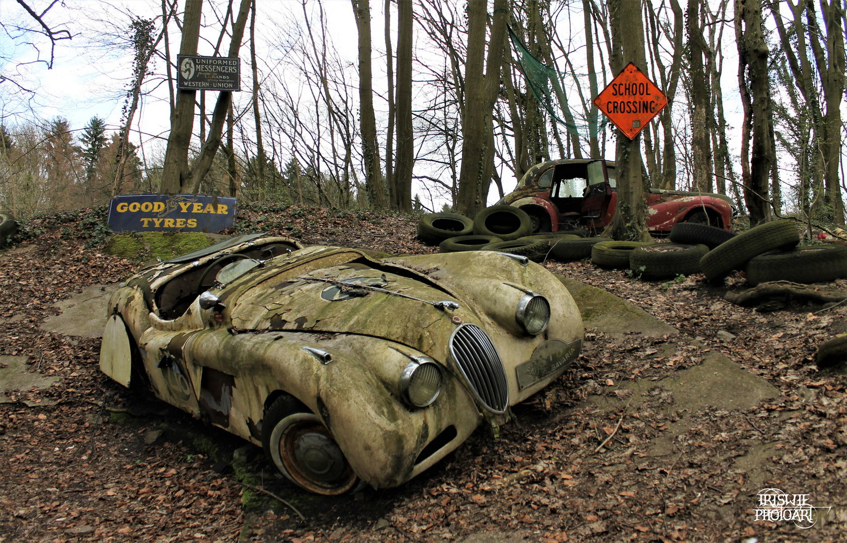 Autofriedhof Neandertal