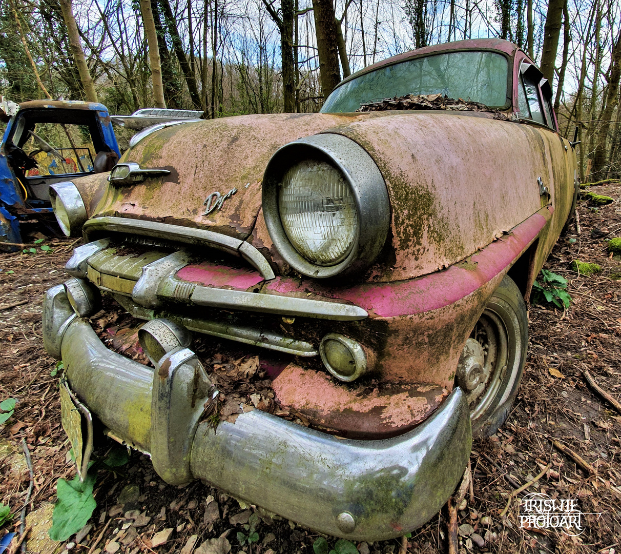 Autofriedhof Neandertal