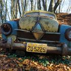 Autofriedhof  Neandertal