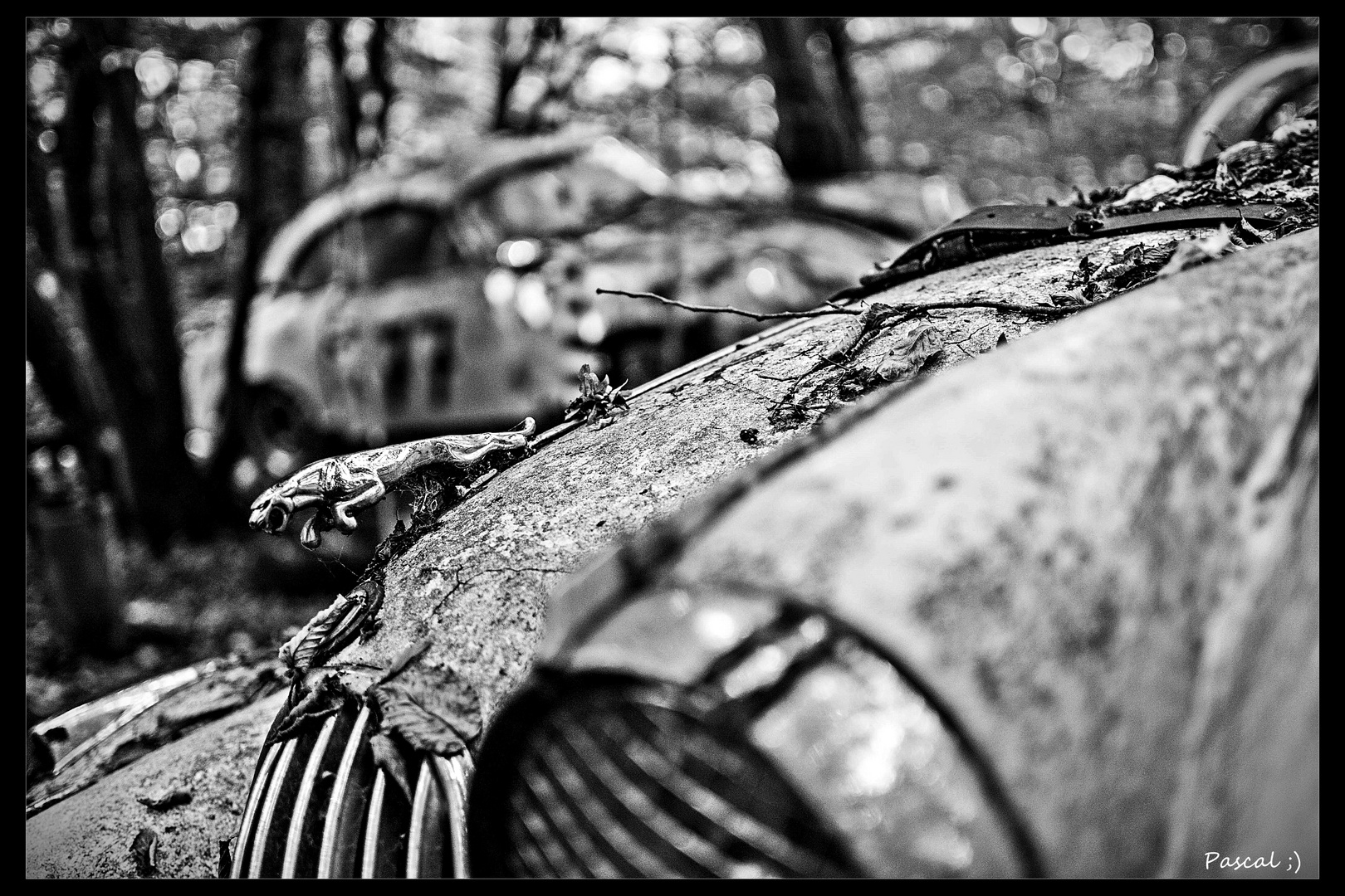 Autofriedhof Neandertal die 2.