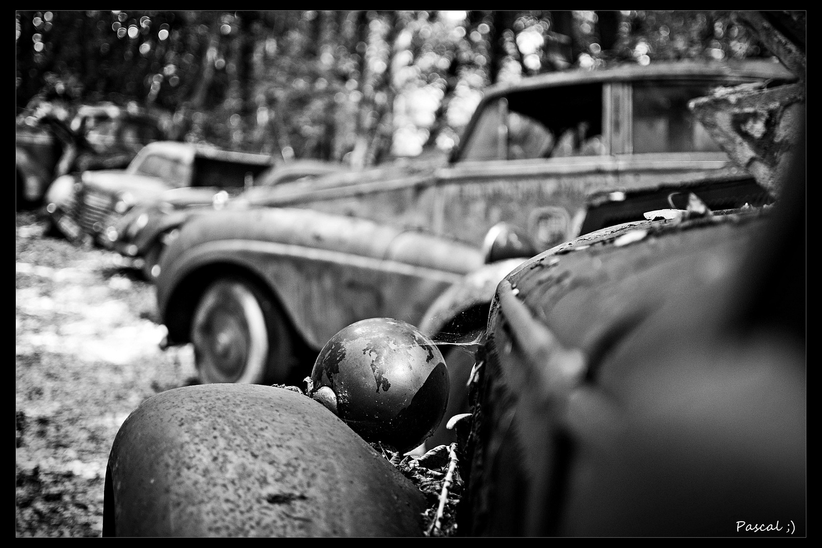 Autofriedhof Neandertal die 3.