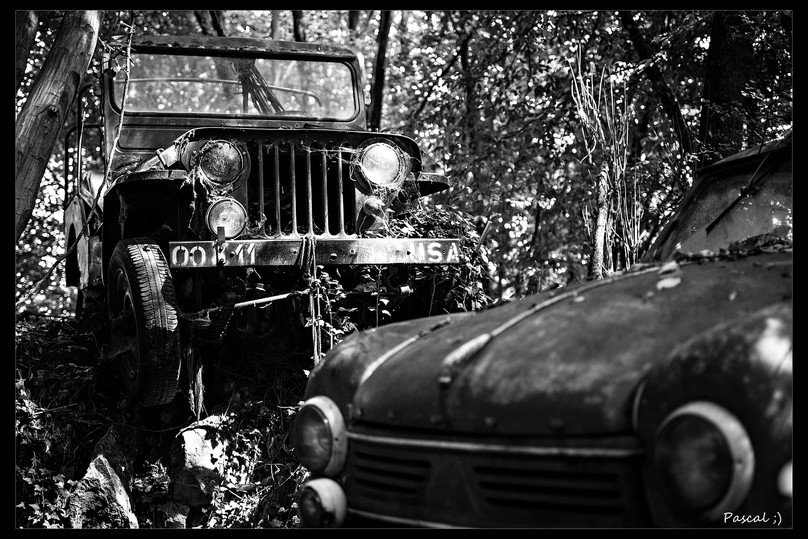 Autofriedhof Neandertal die 4.