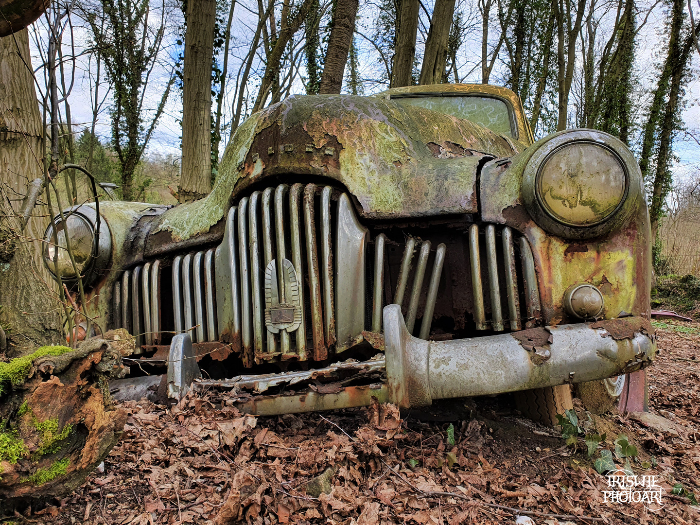 Autofriedhof Neandertal