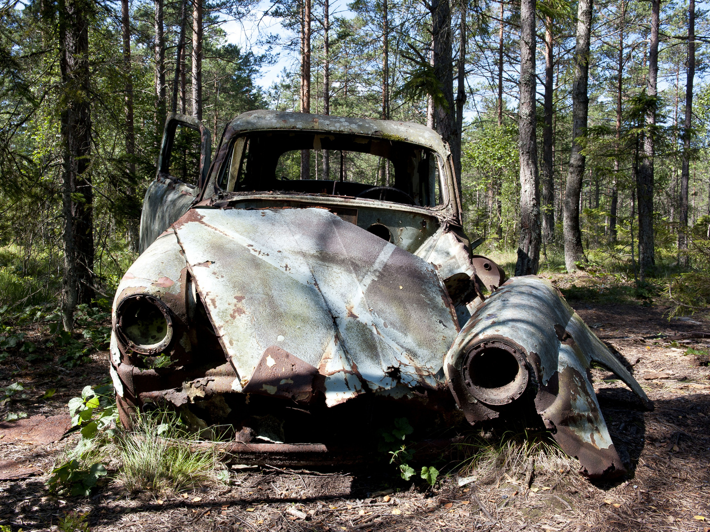 Autofriedhof Ryd