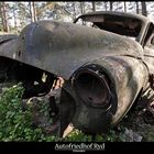 Autofriedhof Ryd