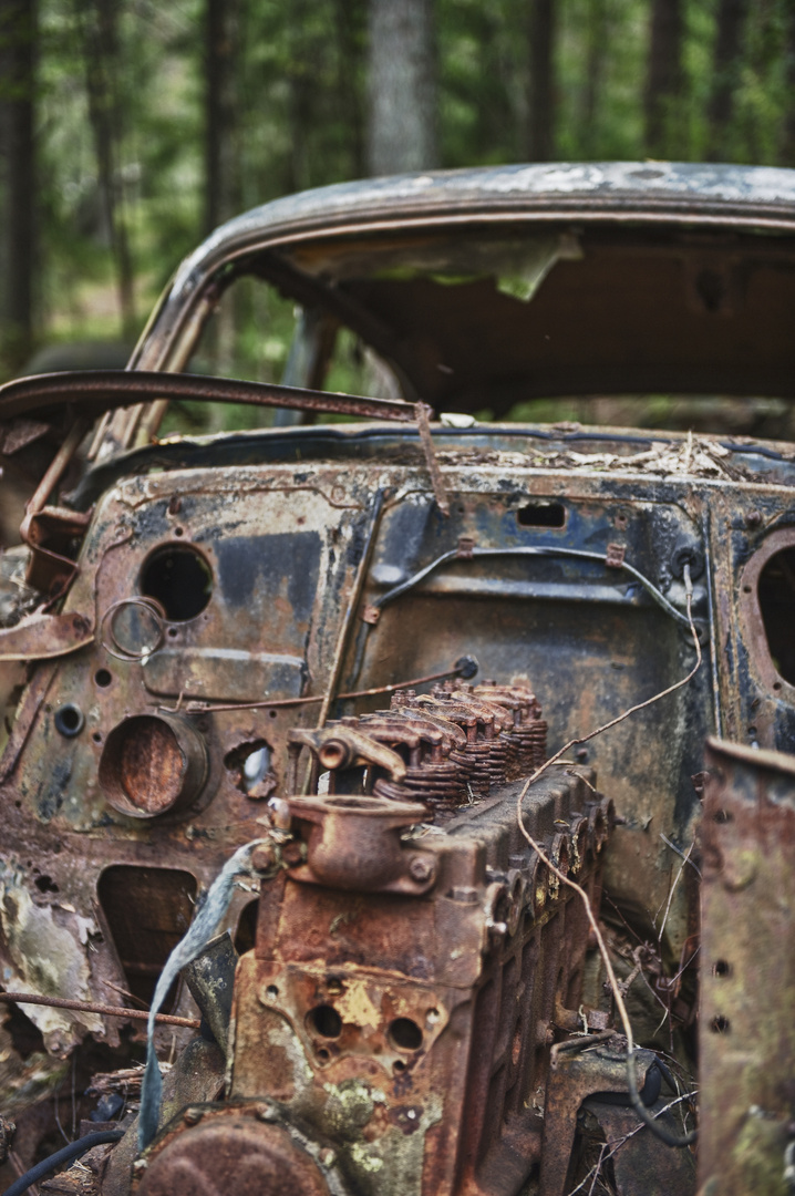 Autofriedhof Ryd (Schweden)