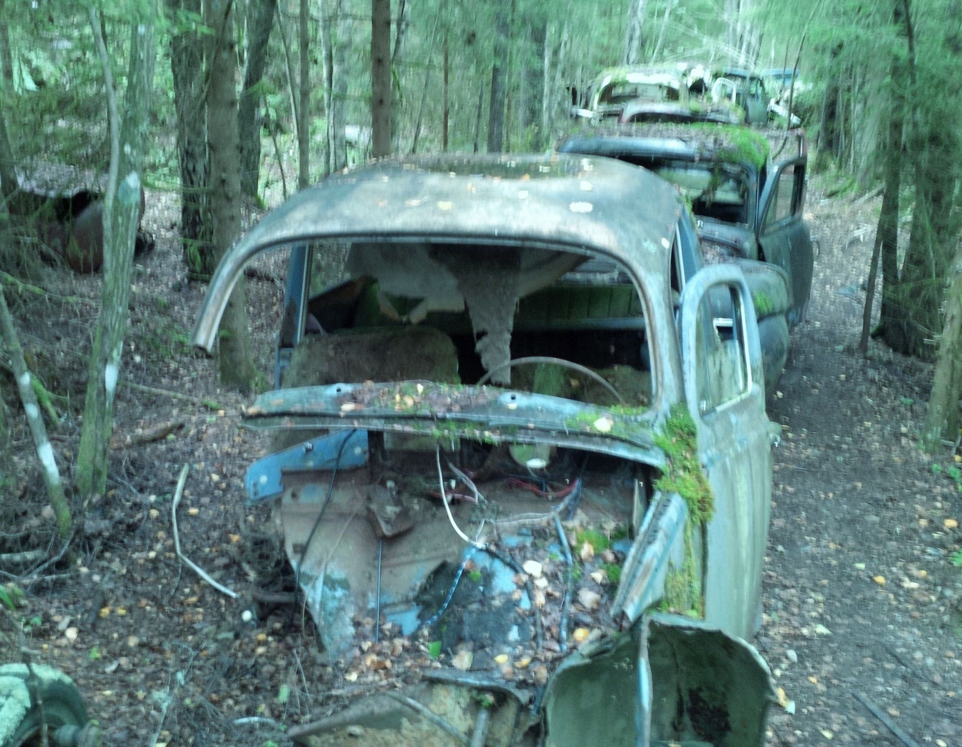 Autofriedhof Schweden