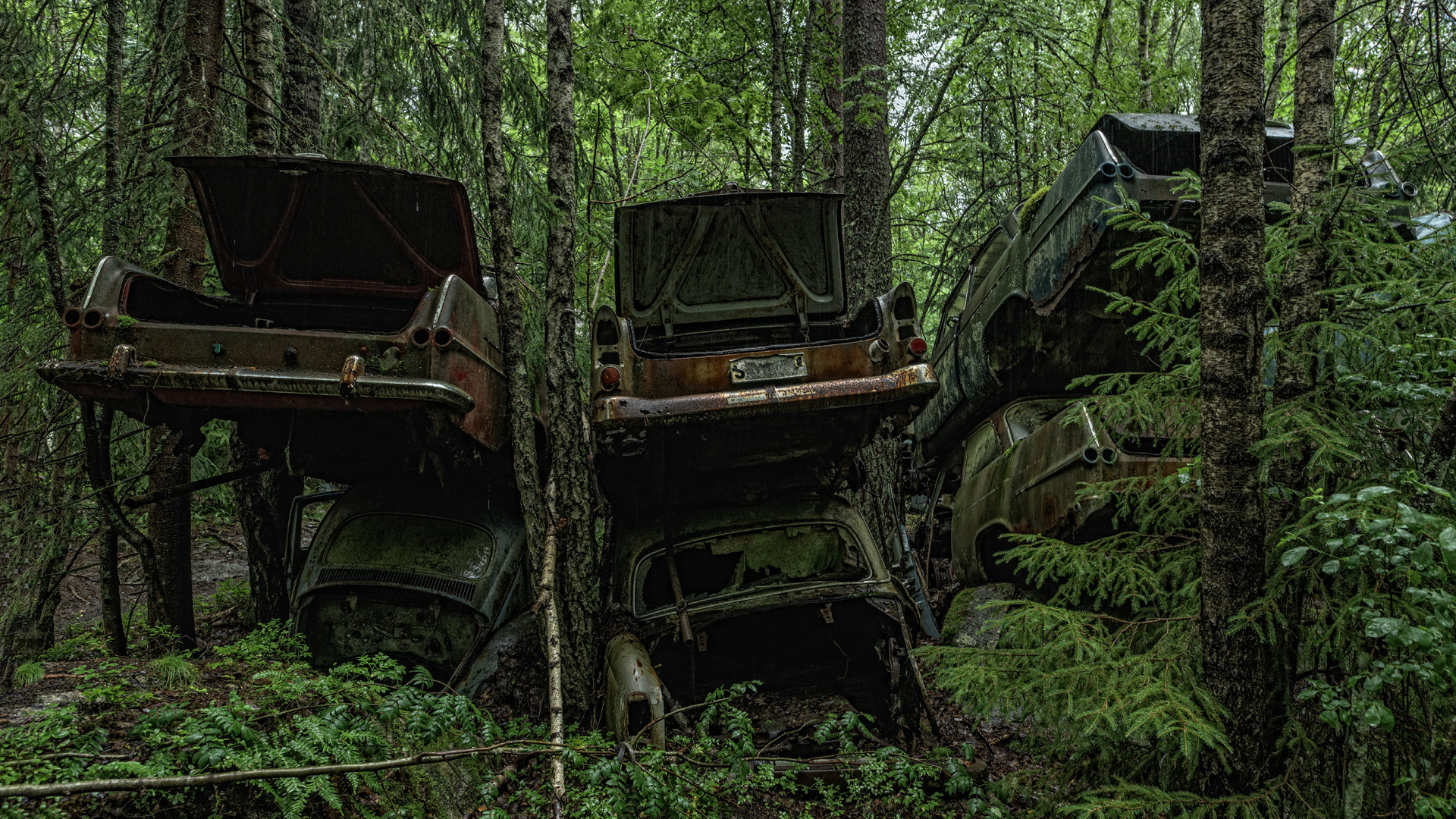 Autofriedhof Schweden - Bastnäs 1