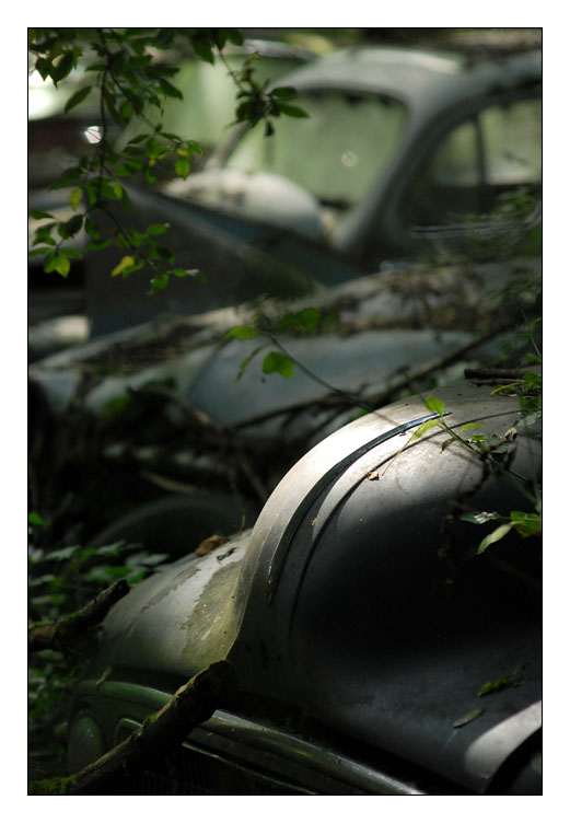 [ autofriedhof VI ]