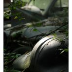 [ autofriedhof VI ]