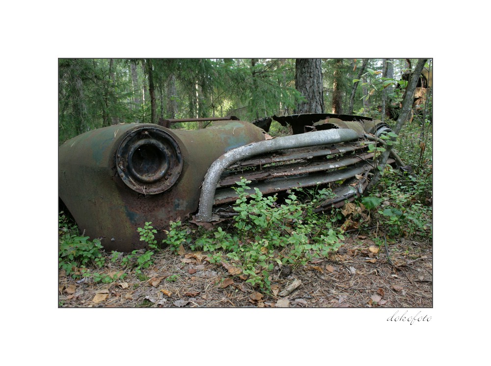 Autofriedhof_2