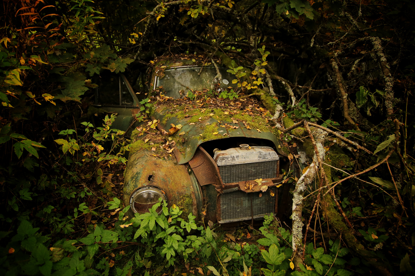 Autofriedhof6