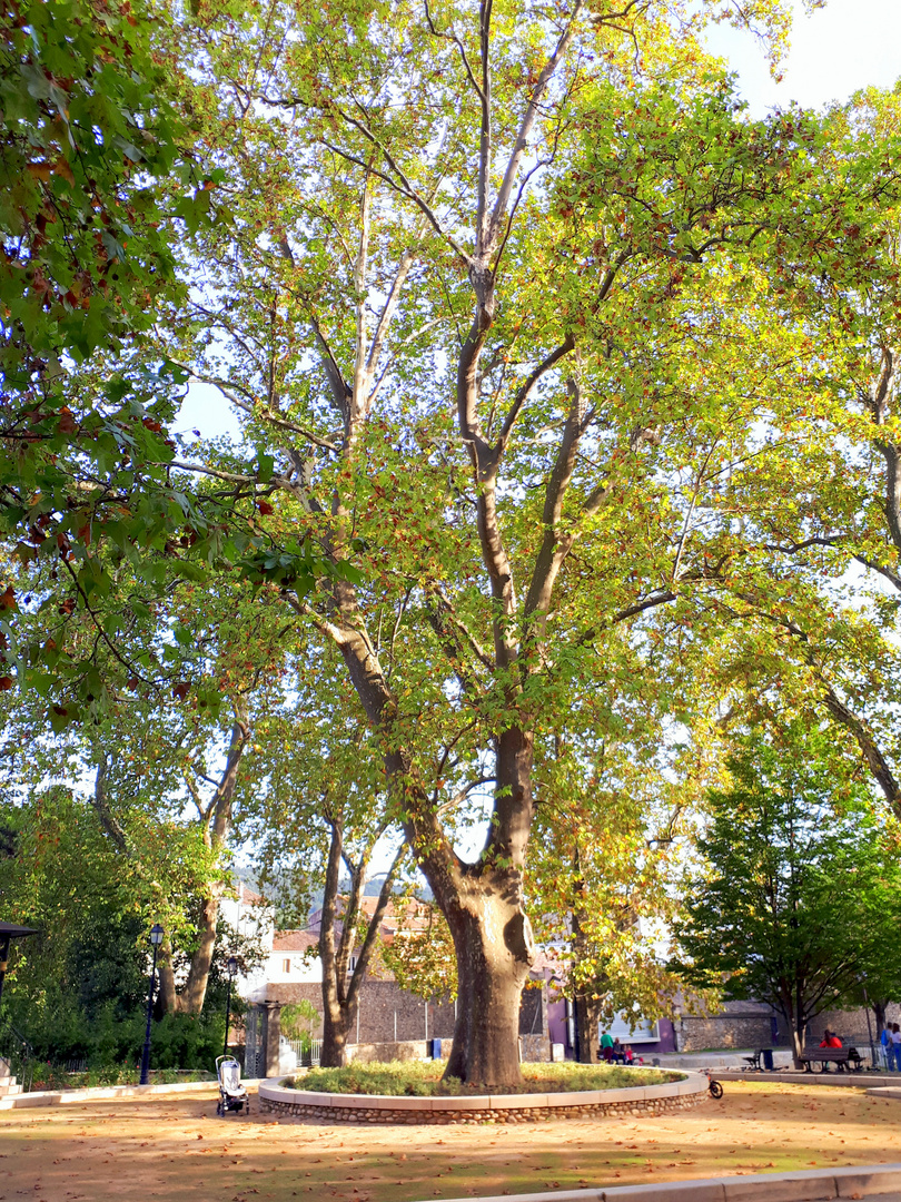 Automne à Anduze, Gard