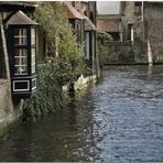 Automne à Bruges IX Canal sur toile