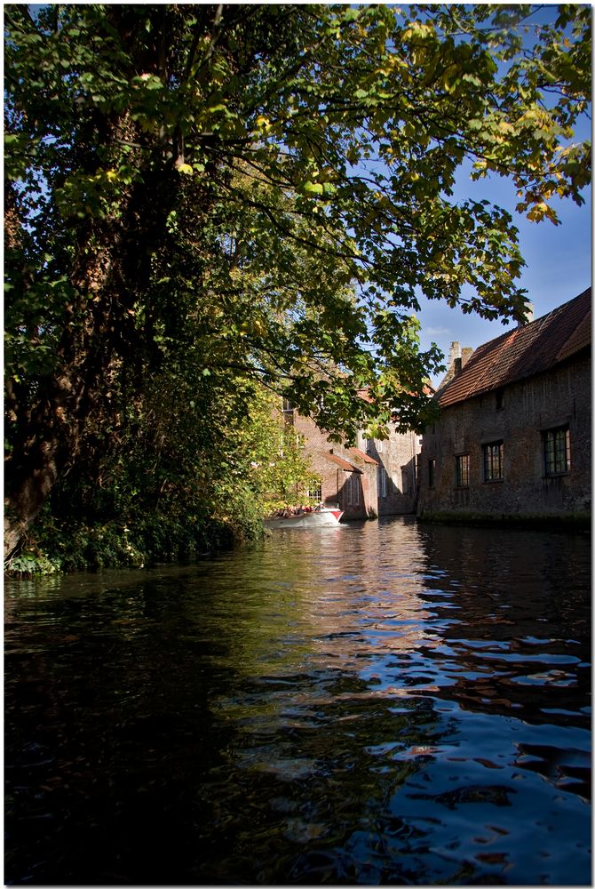 Automne à Bruges XV Des fenêtres sur le canal