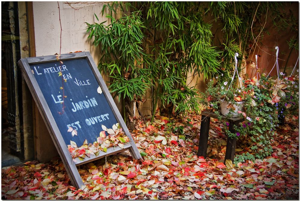 Automne à Bruxelles IV Le jardin est ouvert