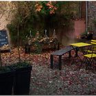 Automne à Bruxelles XXXI Le jardin est ouvert