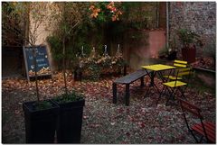 Automne à Bruxelles XXXI Le jardin est ouvert