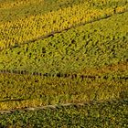 Automne à Champagne