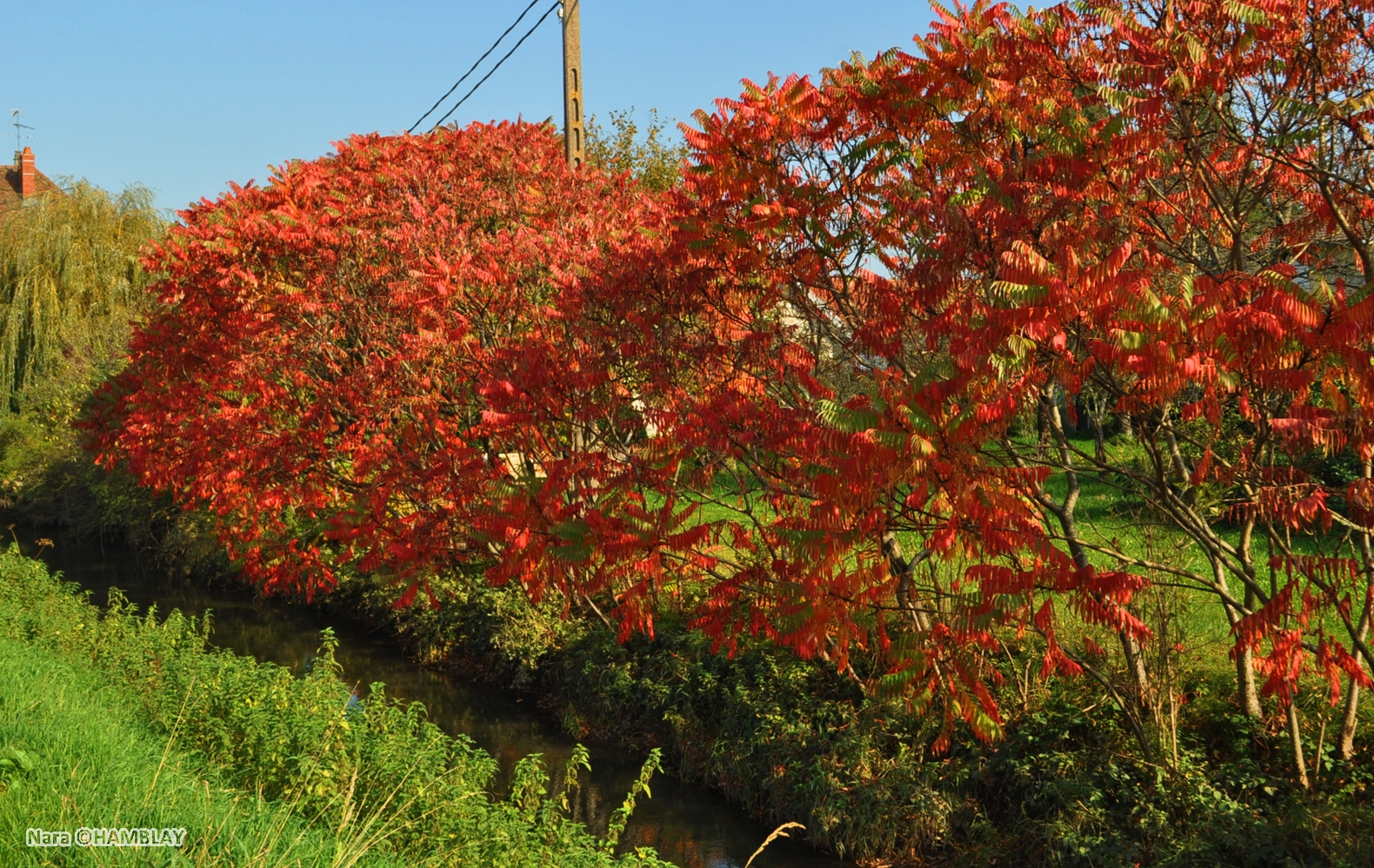 Automne à Chaussin Jura