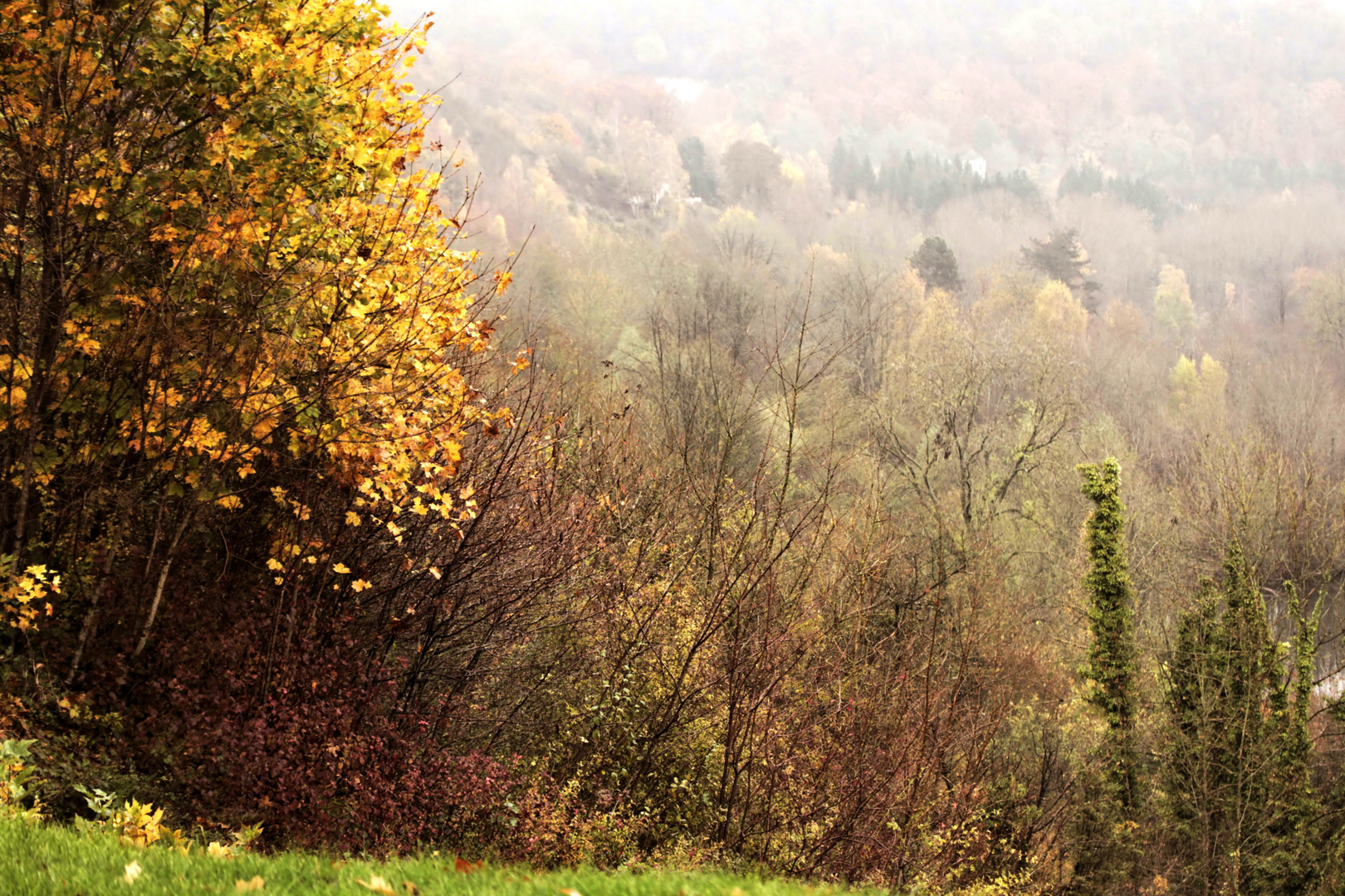 Automne à foison....