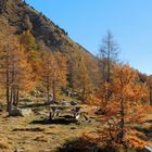 Automne à Isola 2000 (à 95 km de Nice ) Herbst in Isola 2000 (95 km von Nizza)