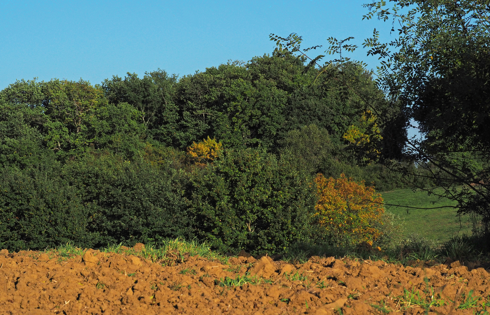 Automne à la campagne