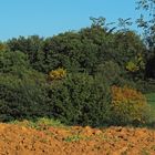 Automne à la campagne