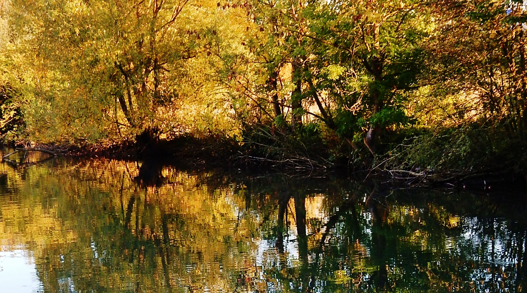 Automne à la Scarpe