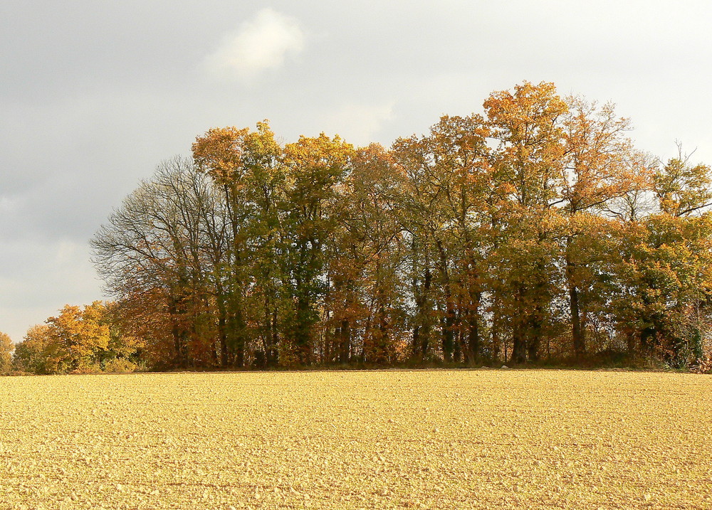 automne à Le Verger -