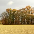 automne à Le Verger -