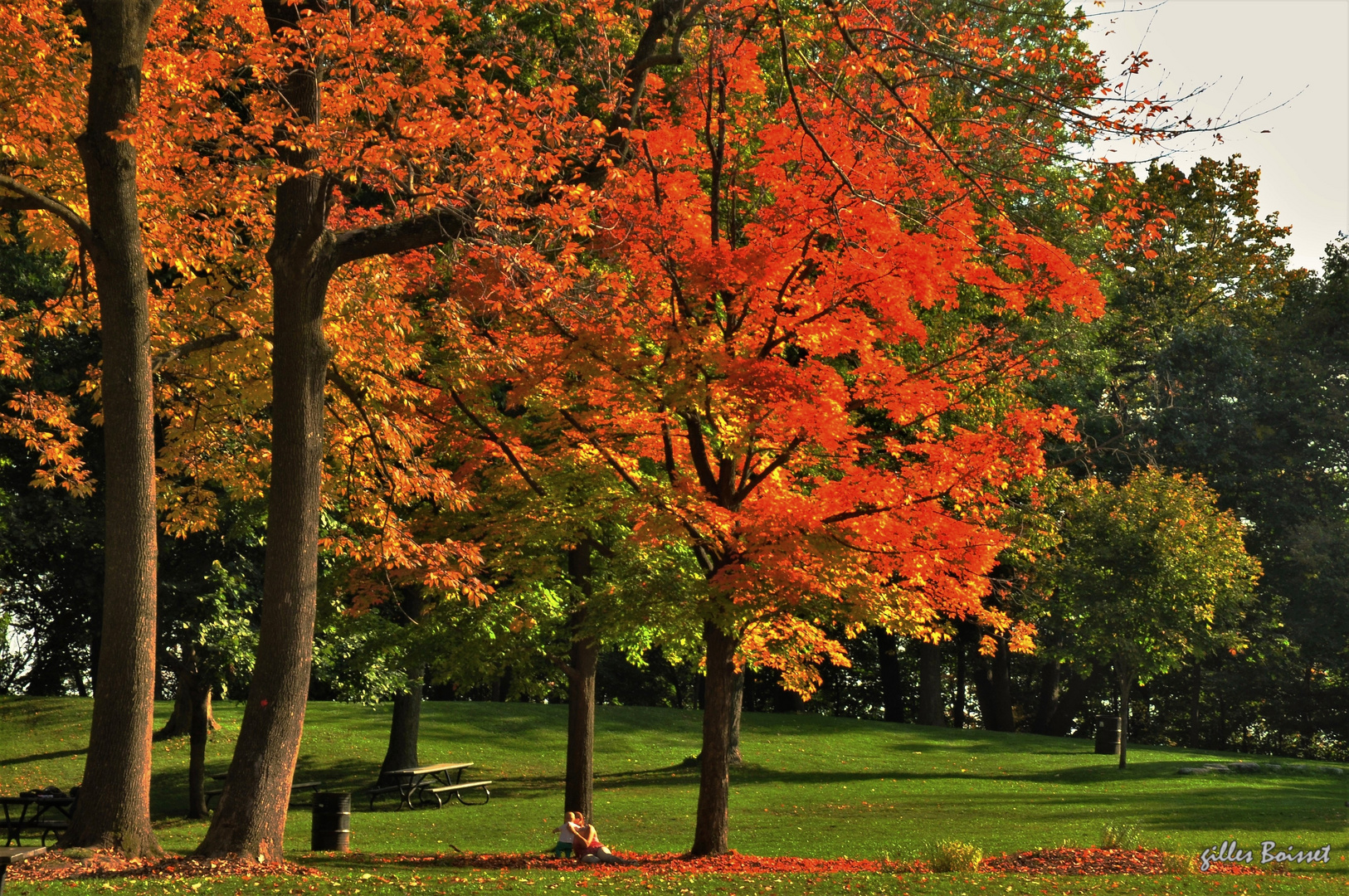 Automne à Montréal