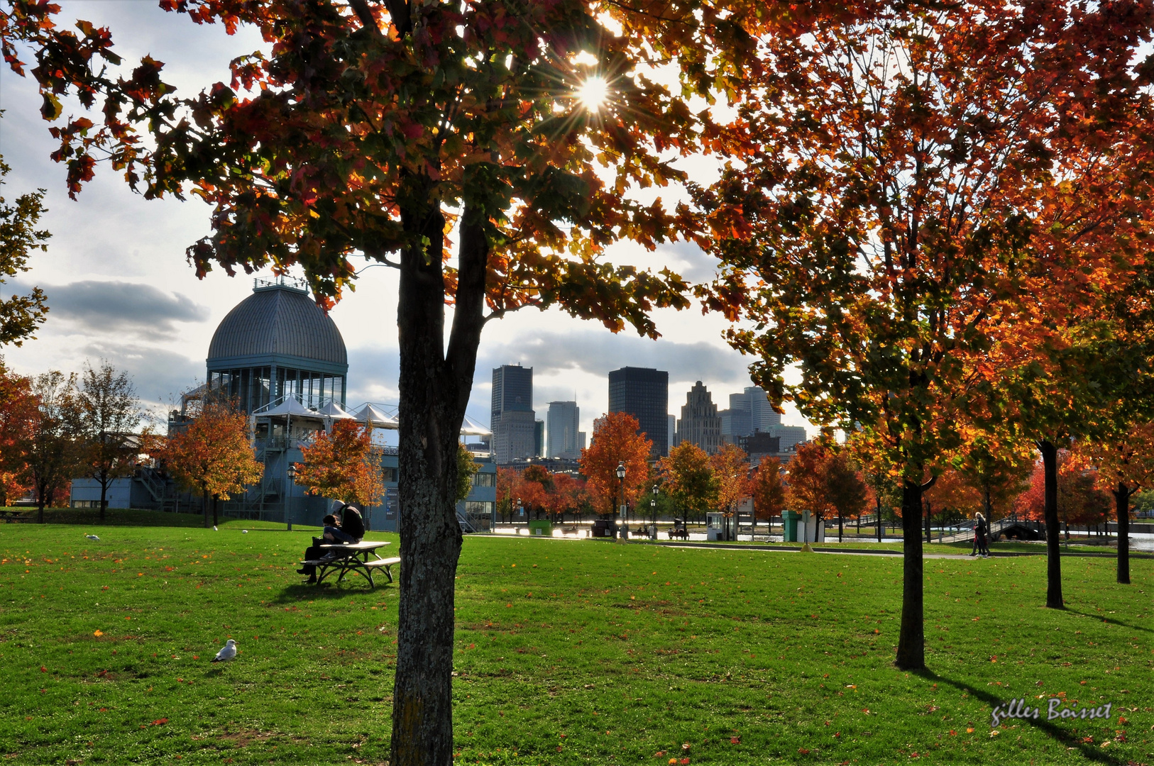  automne à Montréal 