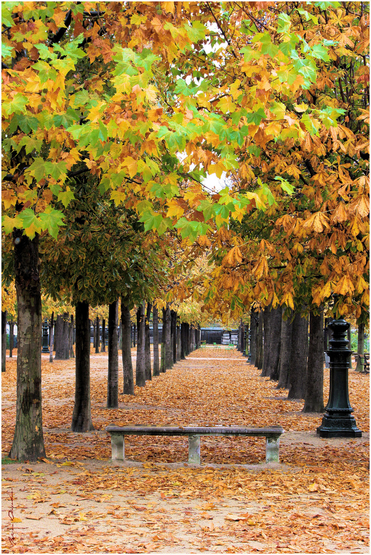 Automne à Paris !