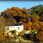 Automne à Sarlat