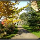 Automne à Sarlat