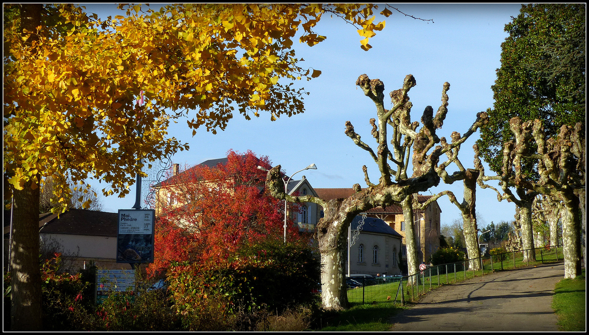 Automne à Sarlat