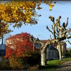 Automne à Sarlat