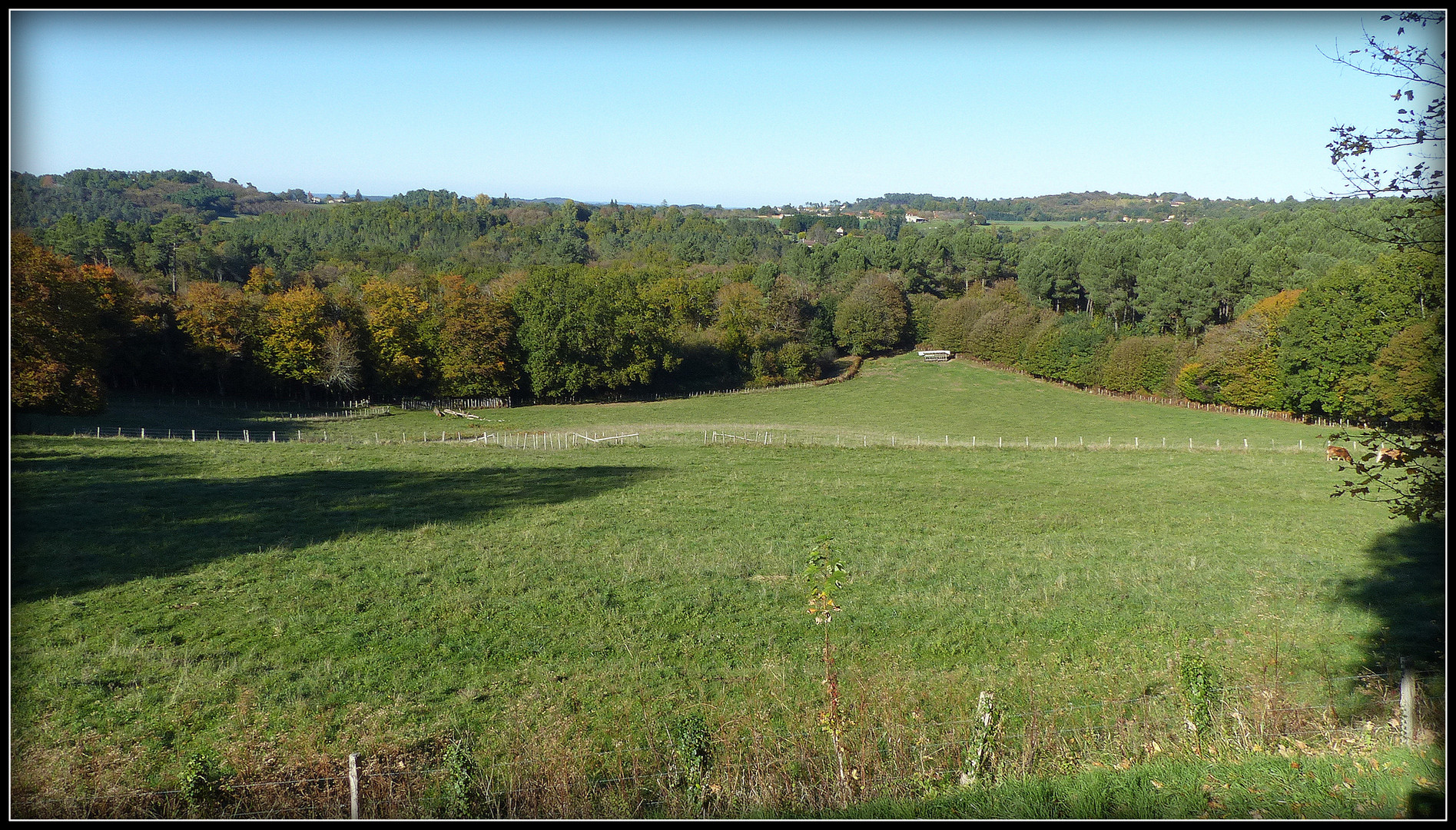 Automne à Sarlat