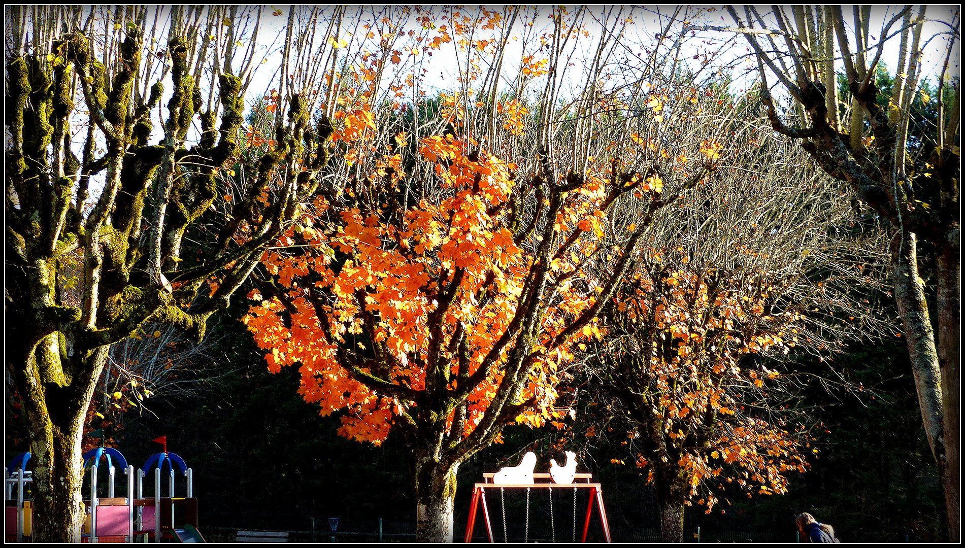 Automne à Sarlat