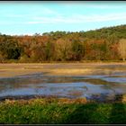 Automne à Sarlat