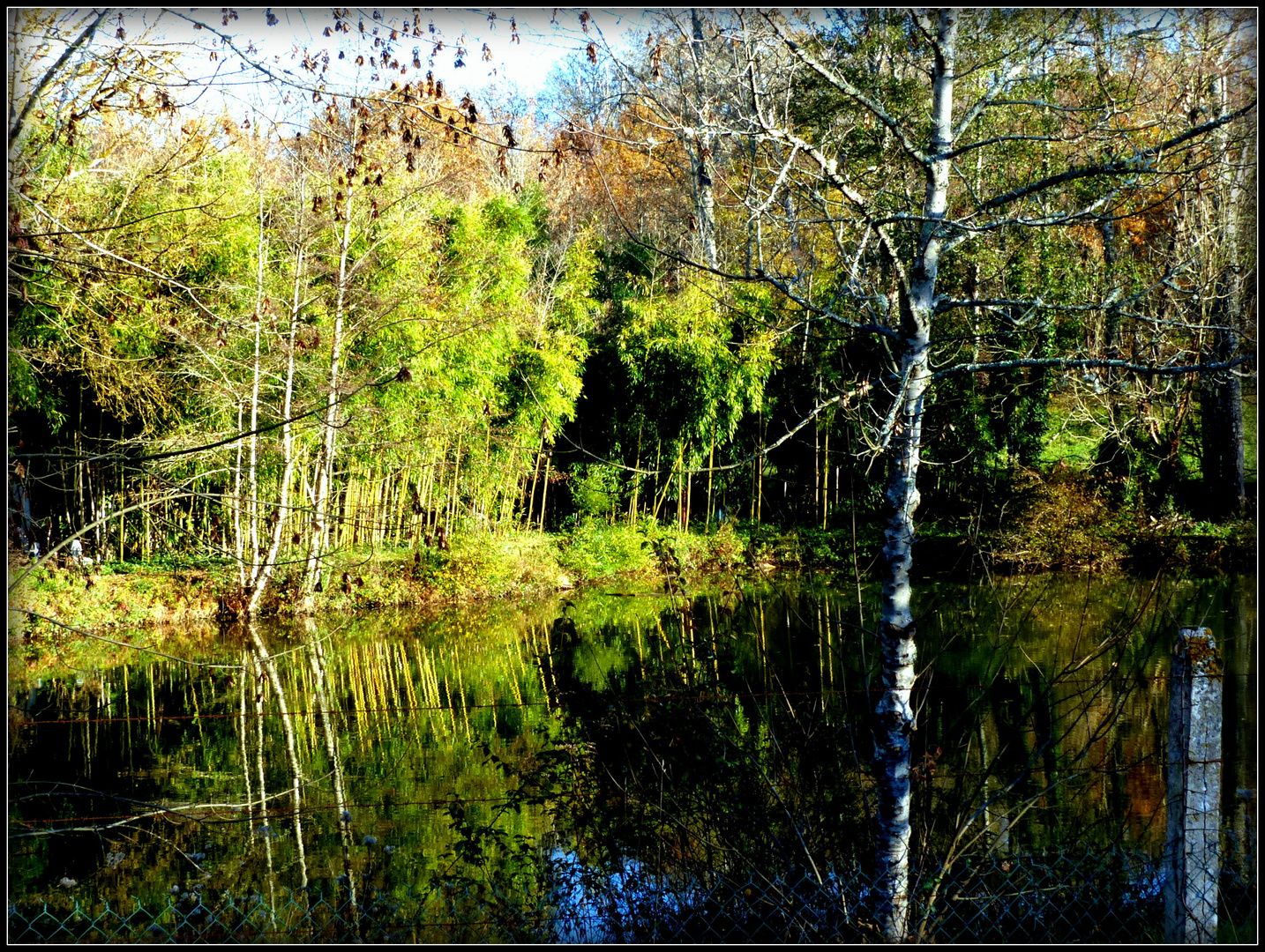 Automne à Sarlat