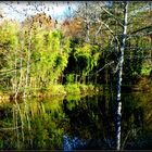 Automne à Sarlat