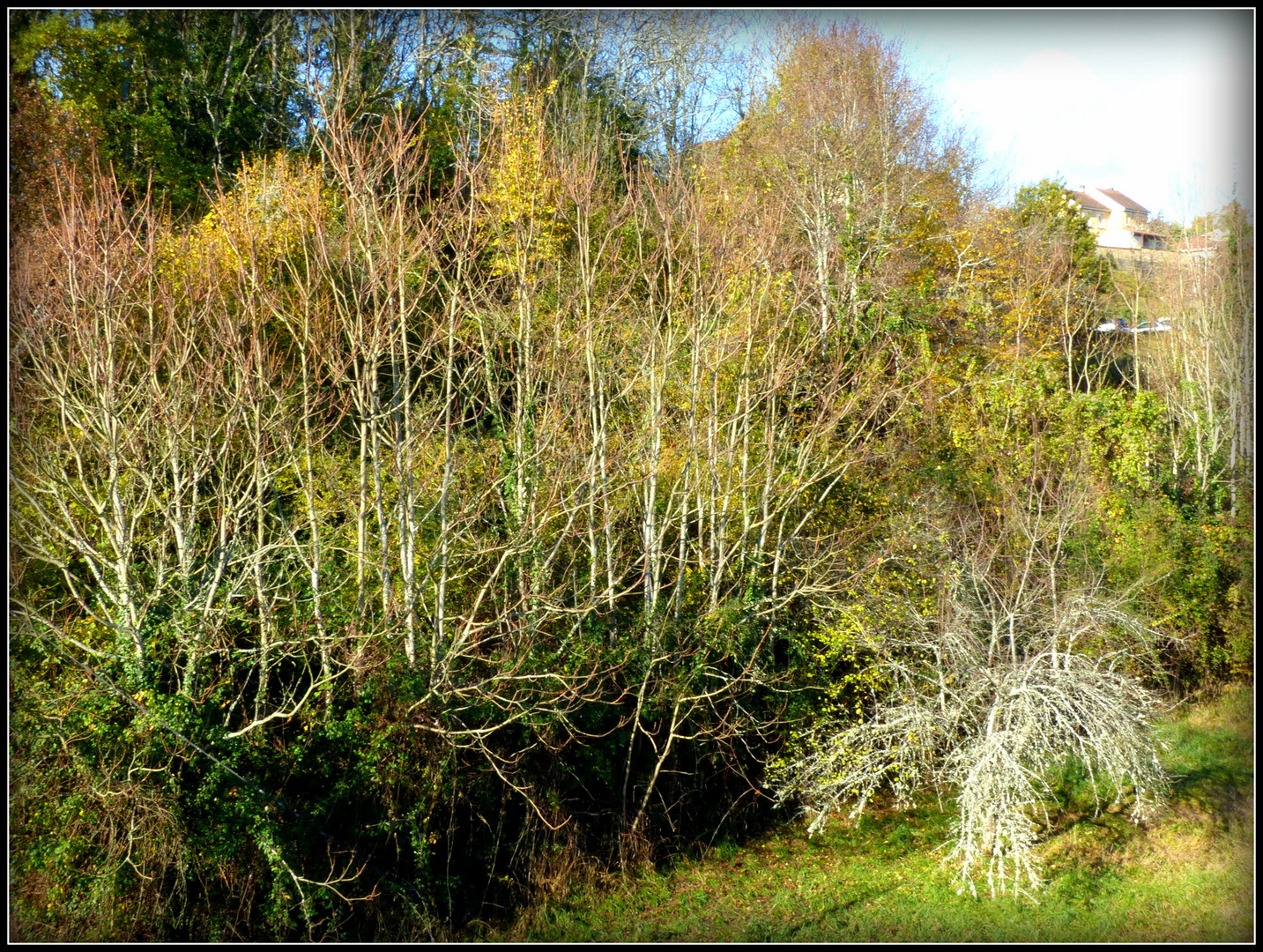 Automne à Sarlat