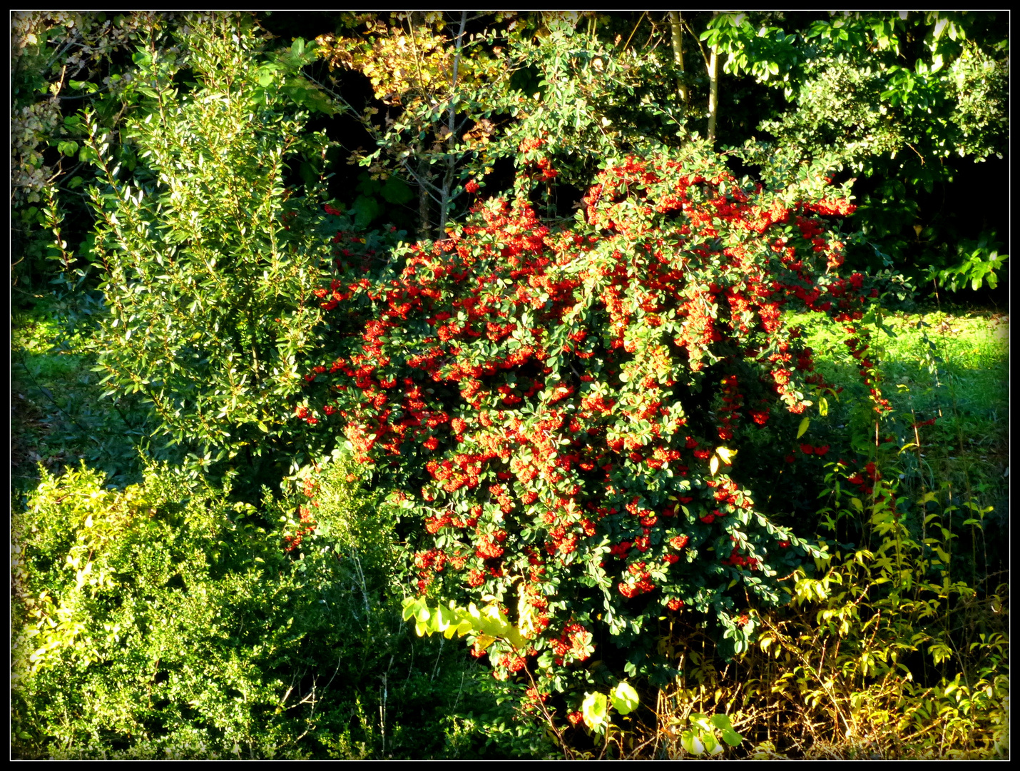 Automne à Sarlat